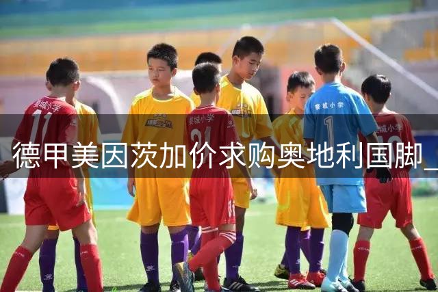 德甲美因茨加价求购奥地利国脚 科莫后卫波施转会谈判进入关键阶段
